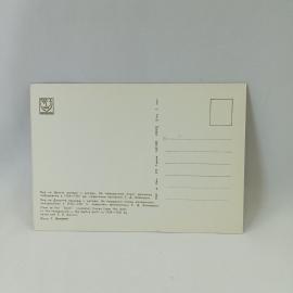 Картинка 2