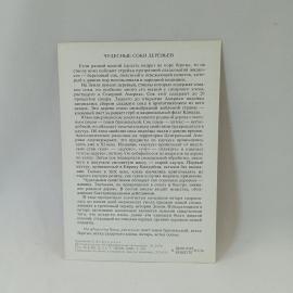 Картинка 2