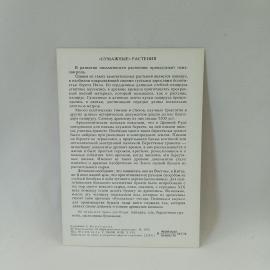 Картинка 2