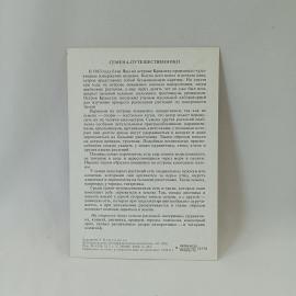 Картинка 2