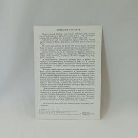 Картинка 2