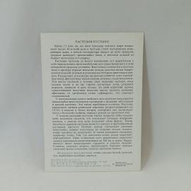 Картинка 2