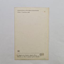 Картинка 2