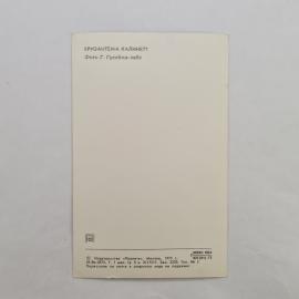 Картинка 2