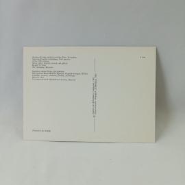 Картинка 2