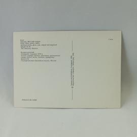 Картинка 2