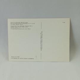 Картинка 2