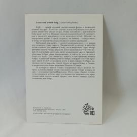 Картинка 2