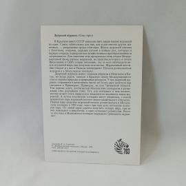 Картинка 2