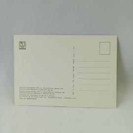 Картинка 2