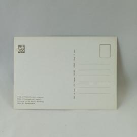 Картинка 2