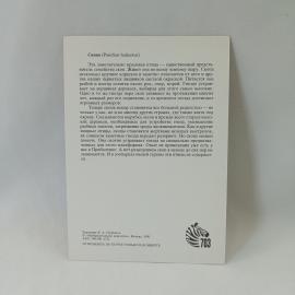 Картинка 2