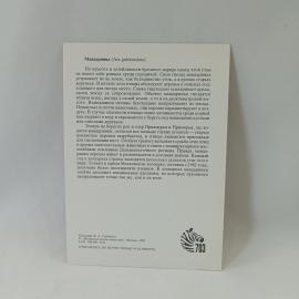 Картинка 2