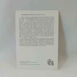 Картинка 2