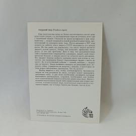 Картинка 2