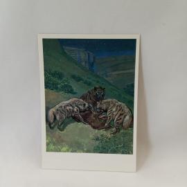Картинка 1