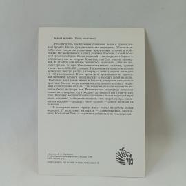 Картинка 2