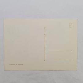 Картинка 2
