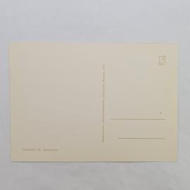 Картинка 2