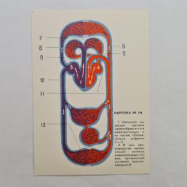 Открытка советская СССР. Учебная схема кровообращения млекопитающих, биология, винтаж