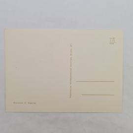 Картинка 2