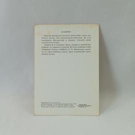 Картинка 2
