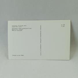 Картинка 2