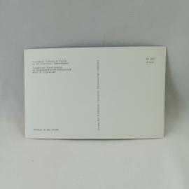 Картинка 2