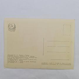Картинка 2