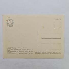 Картинка 2