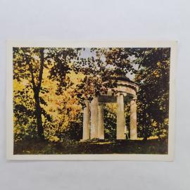 Картинка 1