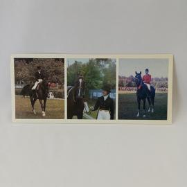 Открытка советская СССР. Конный спорт, выездка и преодоление препятствий, чемпионы. винтаж