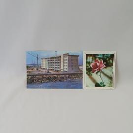 Открытка советская СССР. Нефтяные Камни, город у моря, строительство, роза, промышленность. винтаж