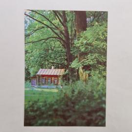 Картинка 1