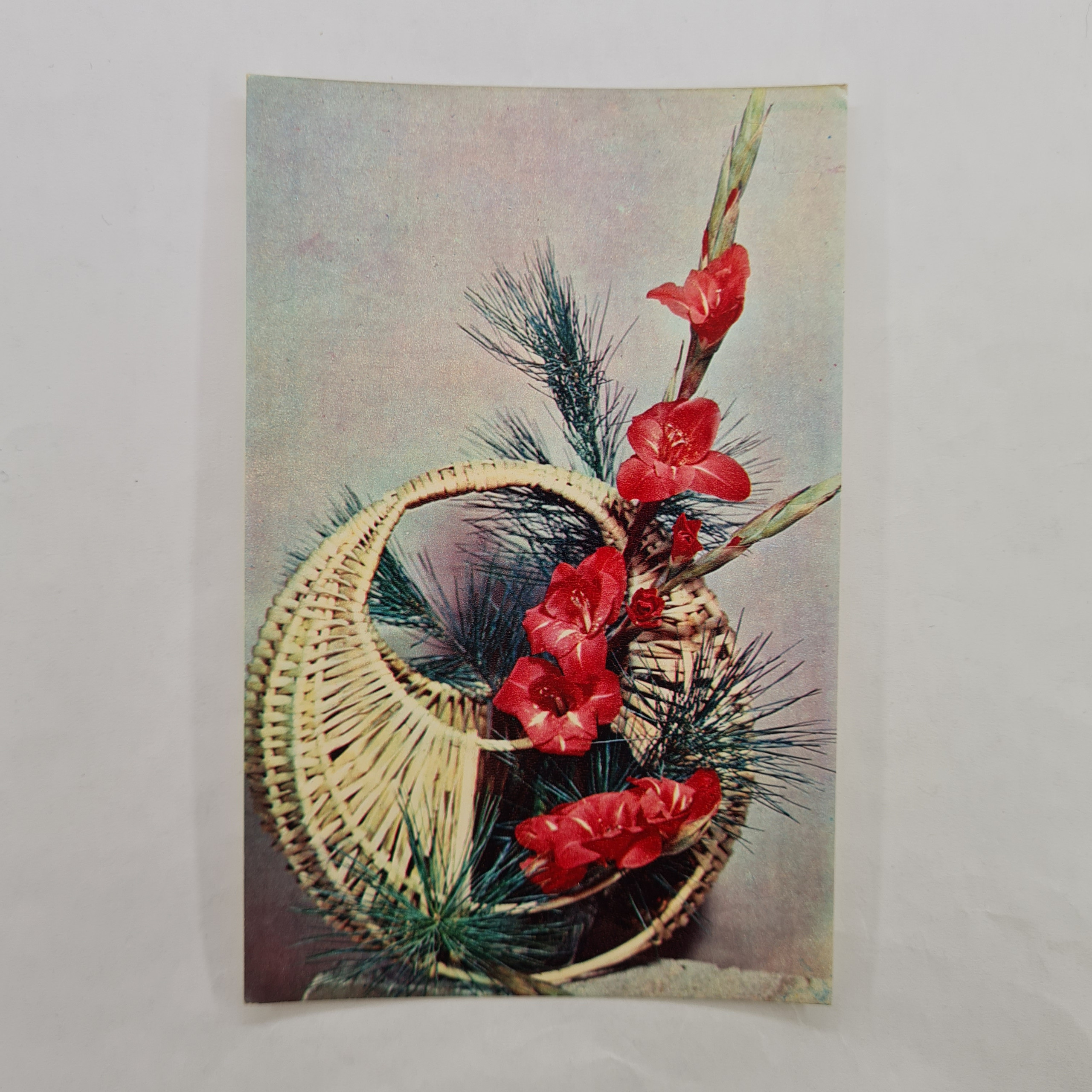 Картинка 1