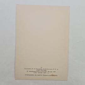 Картинка 2
