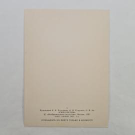 Картинка 2