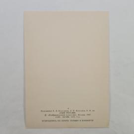 Картинка 2