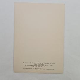 Картинка 2