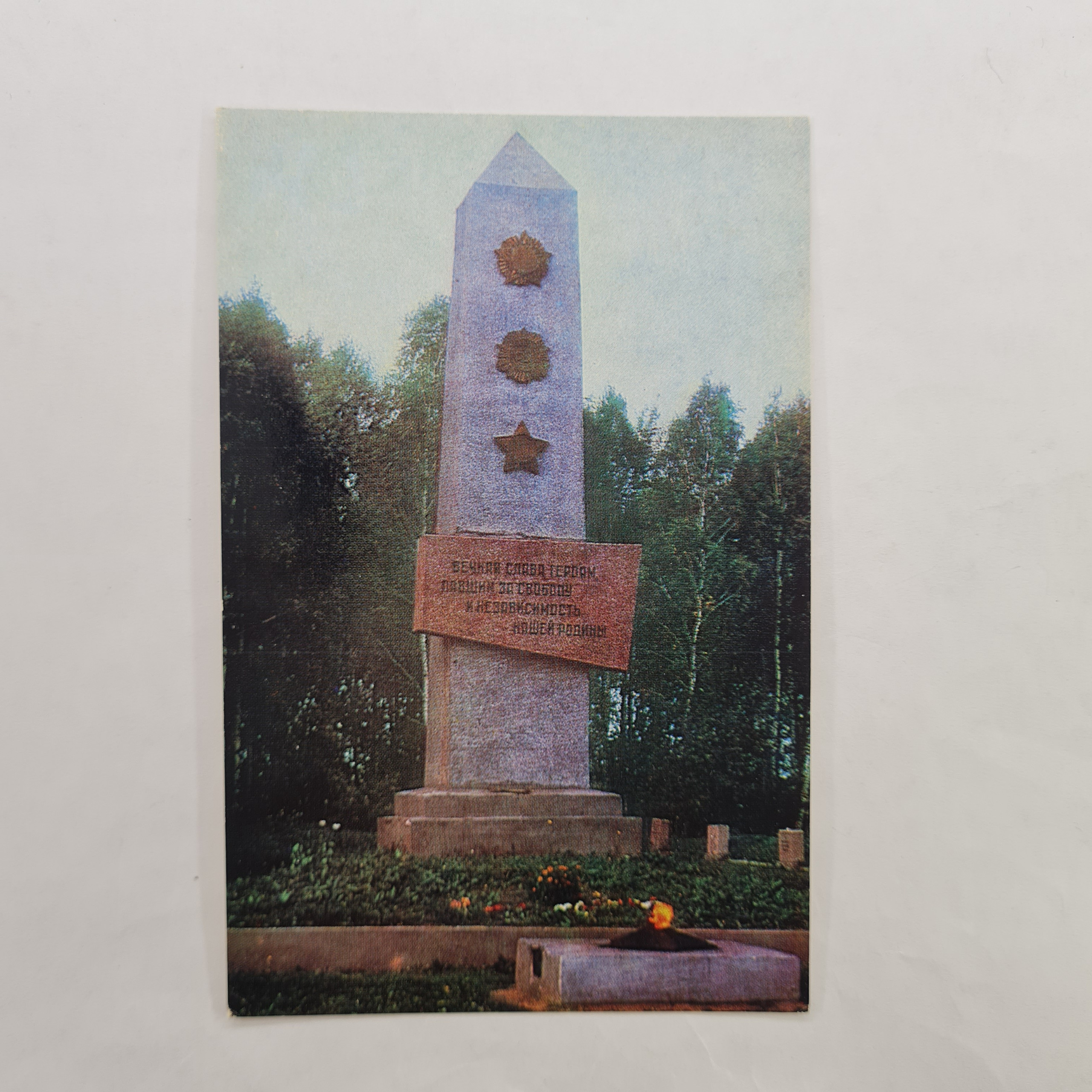 Картинка 1