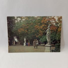 Открытка советская СССР. Ленинград, Летний сад, парковая скульптура и аллея, городская винтаж