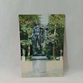Открытка советская СССР. Павловский парк, Старая Сильвия, скульптура Аполлон Бельведерский. винтаж