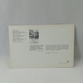 Картинка 2