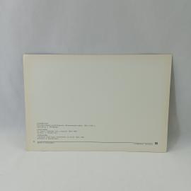 Картинка 2