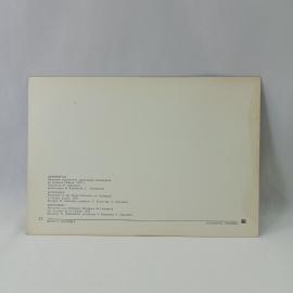 Картинка 2