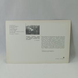 Картинка 2