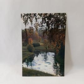 Открытка советская СССР. Павловский парк, долина реки Славянки, пейзаж с прудом и деревьями. винтаж
