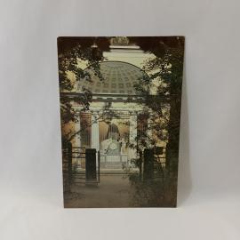 Картинка 1