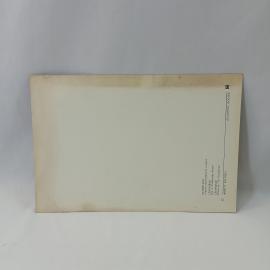Картинка 2