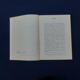 Картинка 3